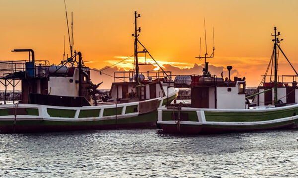 11. Kalk Bay Harbour