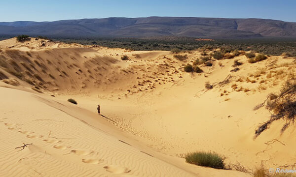 3. Why-detour-to-Witsand-Kalahari-Nature-Reserve-worth-it