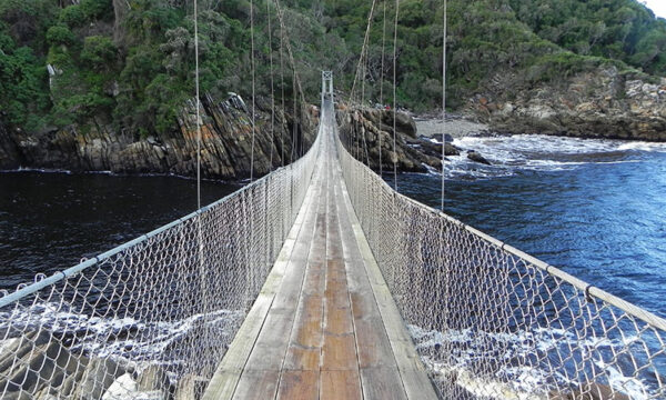 10. jenman-tsitsikamma-bridge