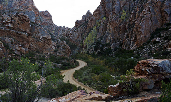 5. swartberg-pass-02