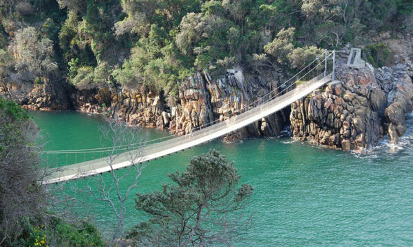 7. suspension-bridge-tsitsikamma