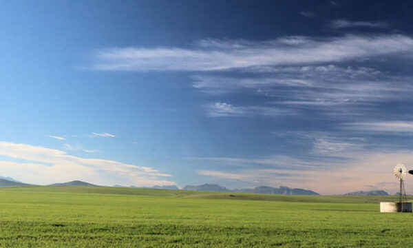 9. malmebsury-western-cape-south-africa-006-1024x422